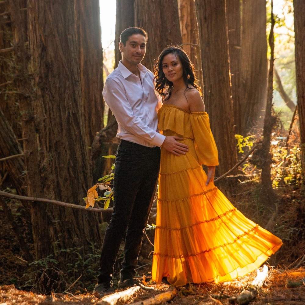 Misa Los Angeles yellow chiffon maxi dress (S)